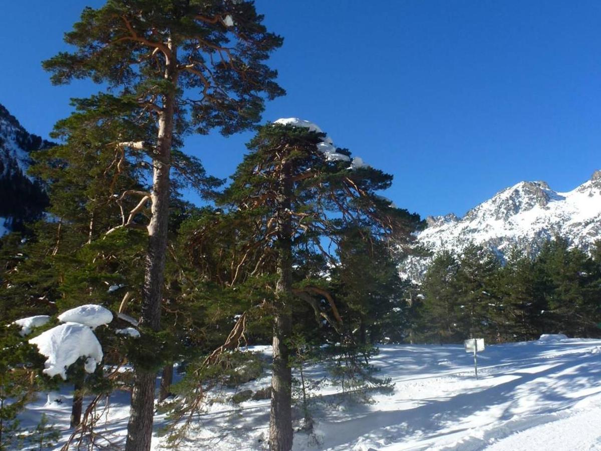 Appartement T2 Bis Cauterets - 50M Telecabine Et Thermes - 4/6 Pers - Parking Gratuit - Fr-1-234-300 Eksteriør billede